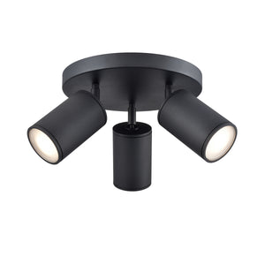 Pond Inlet Outdoor 3-LT Flush Mount