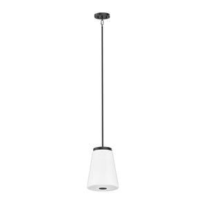 Robson Hall Tall Pendant