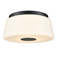 Robson Hall 13" Flush Mount
