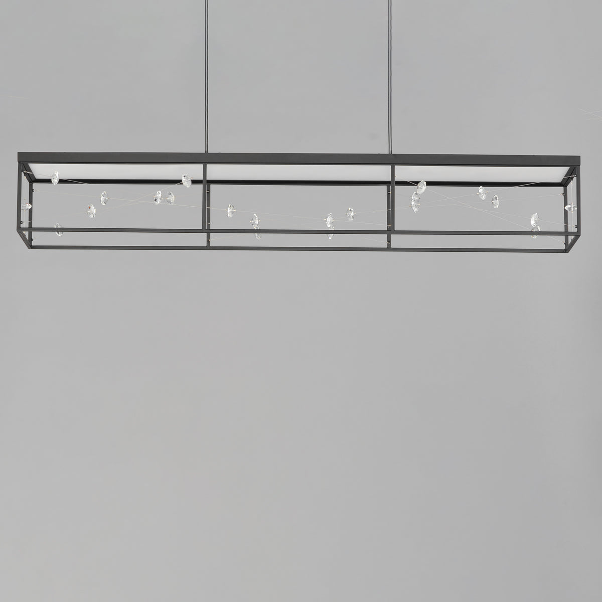 Entanglement Linear LED Pendant