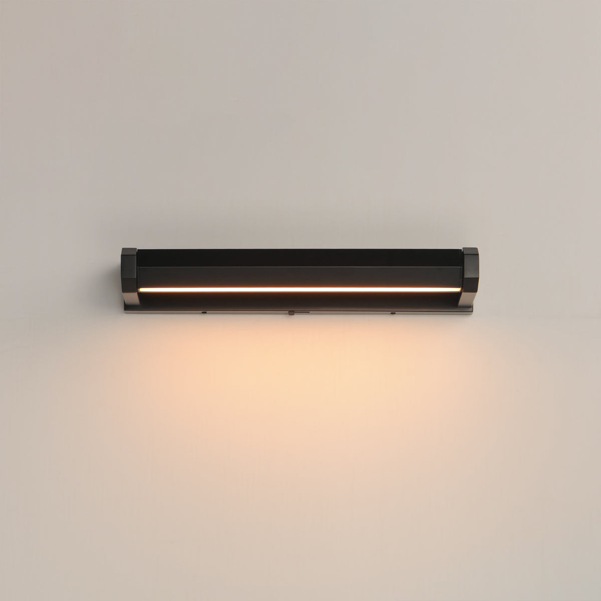 Braque 19" LED Picture Light