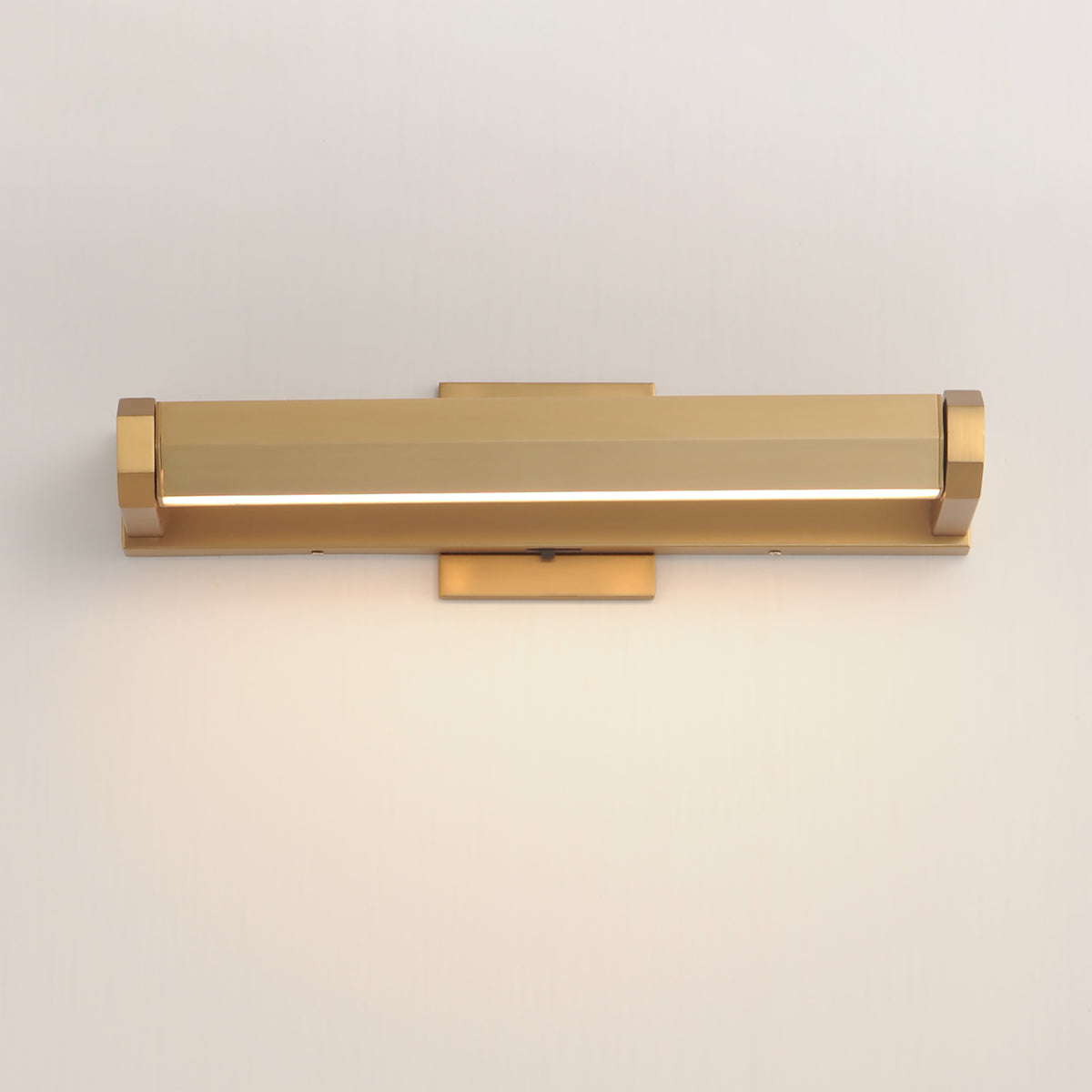 Braque 19" LED Picture Light