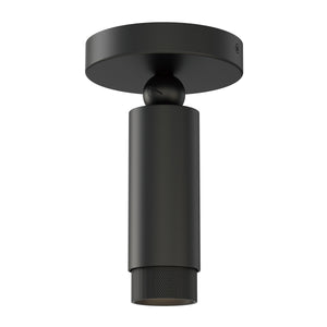 Cleo Adjustable Spot Light