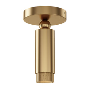 Cleo Adjustable Spot Light