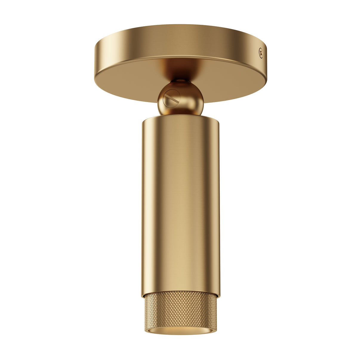 Cleo Adjustable Spot Light