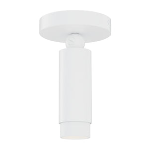 Cleo Adjustable Spot Light