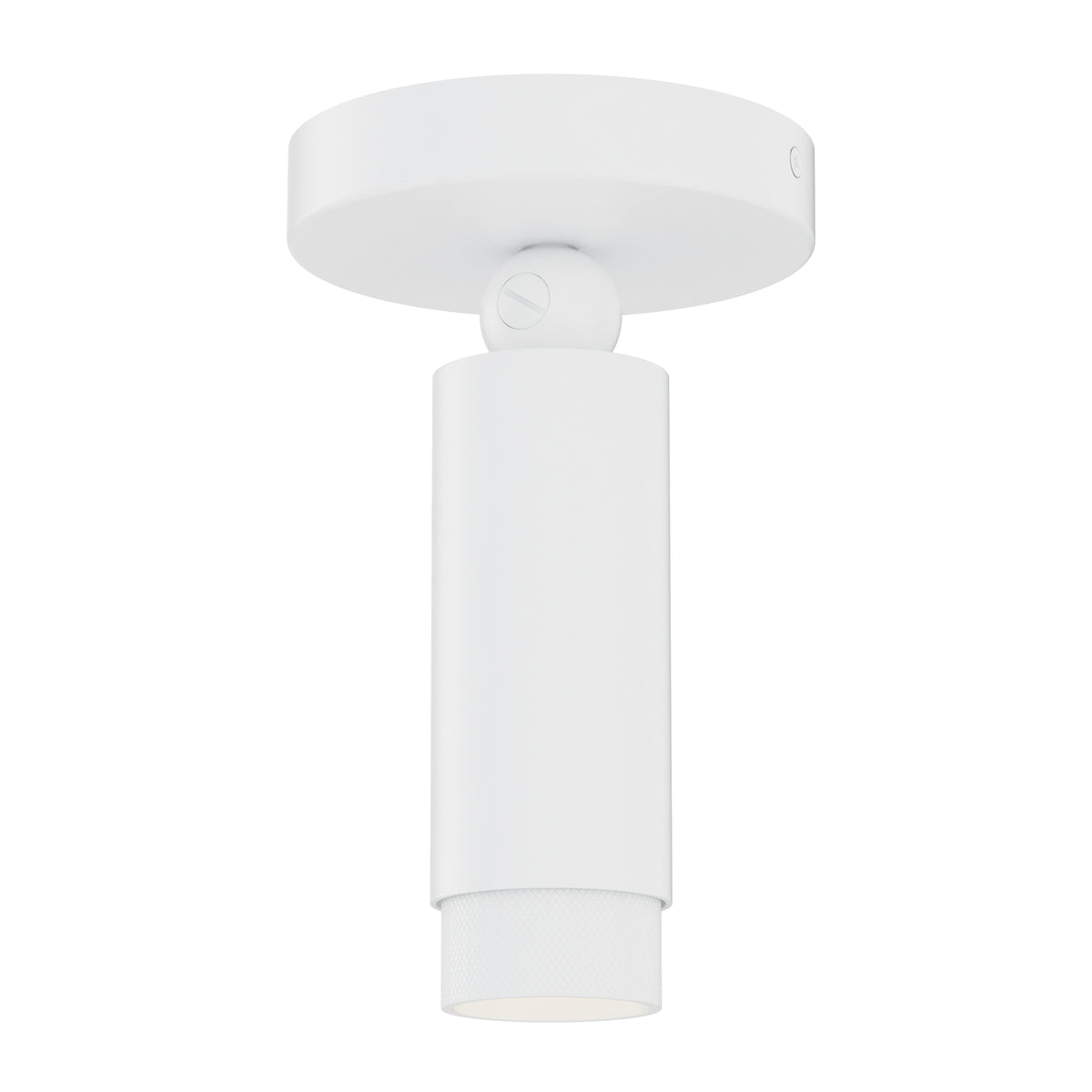 Cleo Adjustable Spot Light