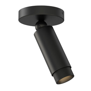 Cleo Adjustable Spot Light