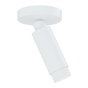 Cleo Adjustable Spot Light