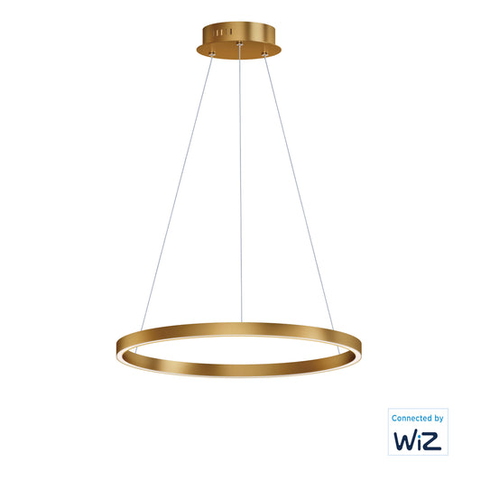 Groove 24" LED Pendant WiZ