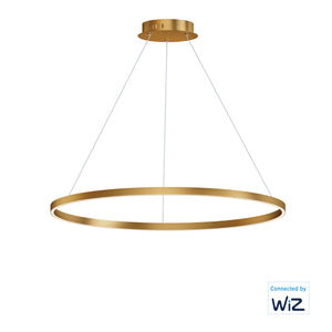 Groove 40" LED Pendant WiZ