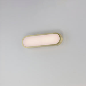 Latitude 18" LED Bath Sconce