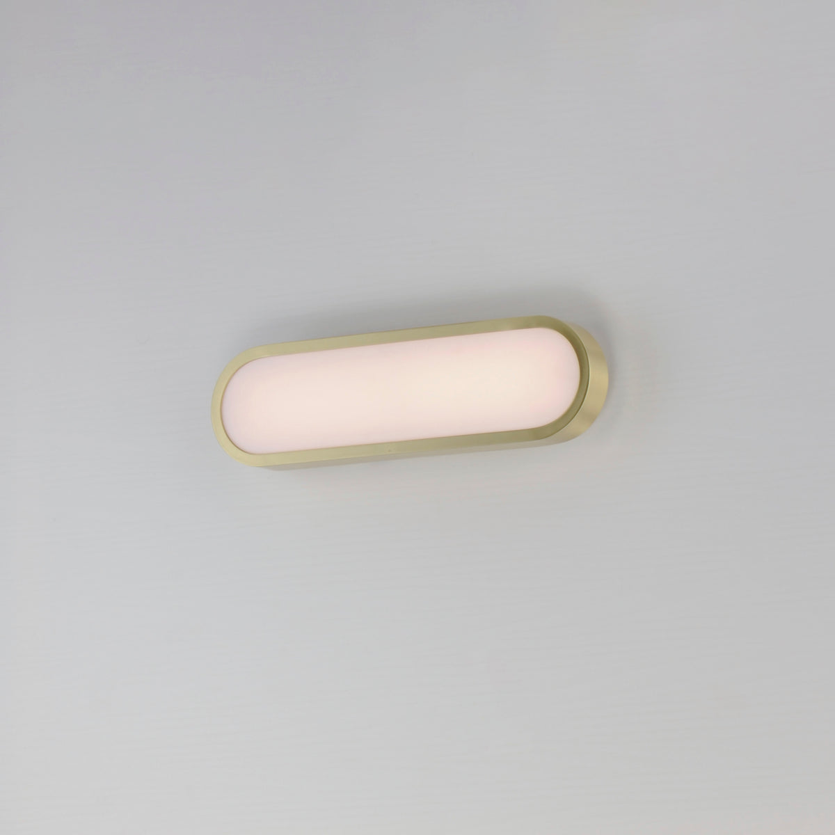 Latitude 18" LED Bath Sconce