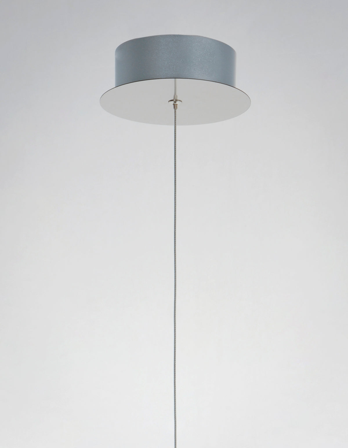 Reveal 1-Light LED Pendant