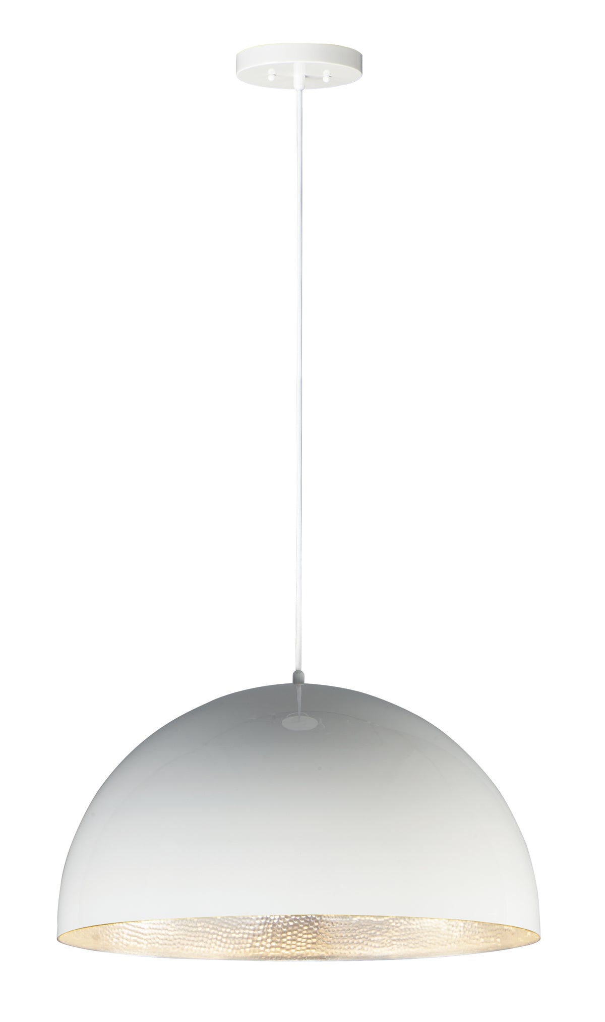 Hemisphere 1-Light 24" LED Pendant