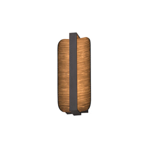 Terra 16" LED Outdoor Wall Sconce