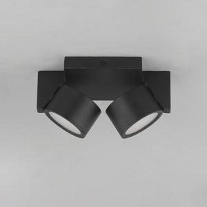 Embrace 2-Light LED Flush