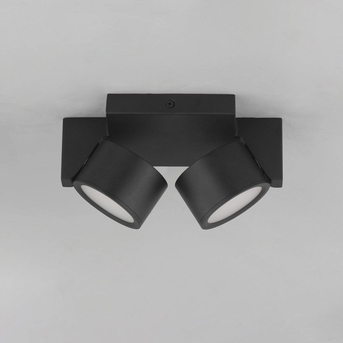 Embrace 2-Light LED Flush