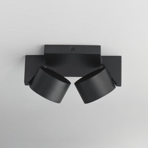 Embrace 2-Light LED Flush