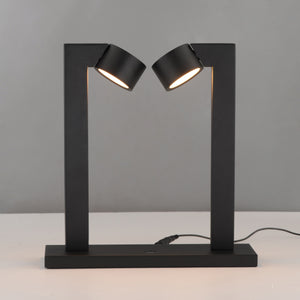 Embrace 2-Light Lamp