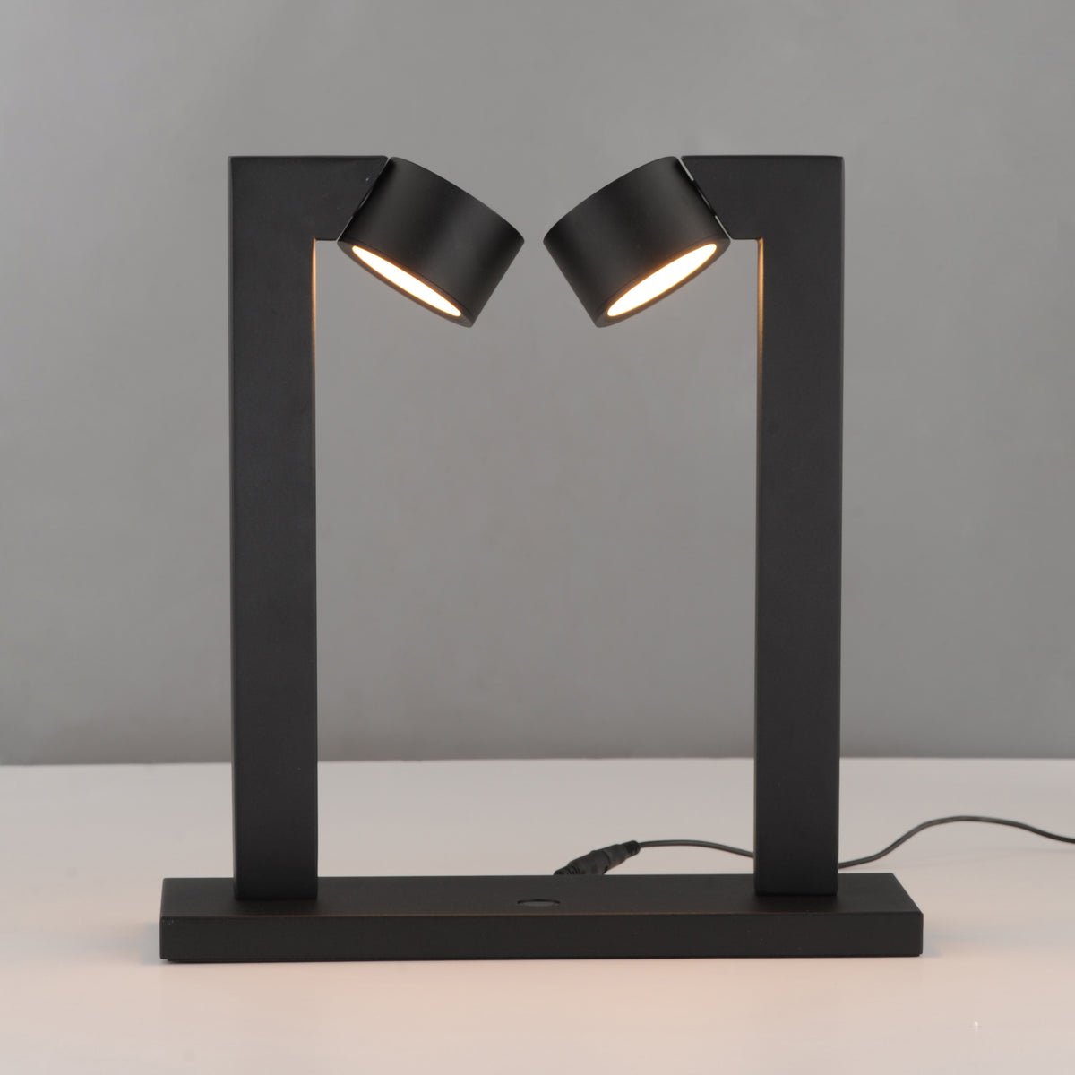 Embrace 2-Light Lamp