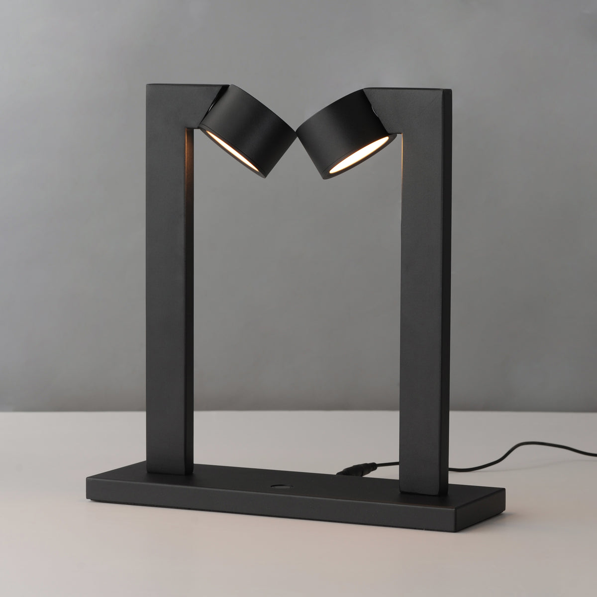 Embrace 2-Light Lamp