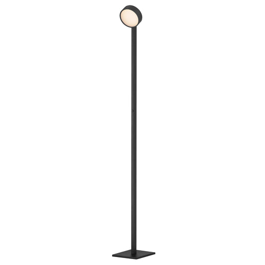Embrace Adjustable Floor Lamp