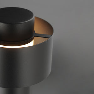 Reveal 12-24V LED Garden Light