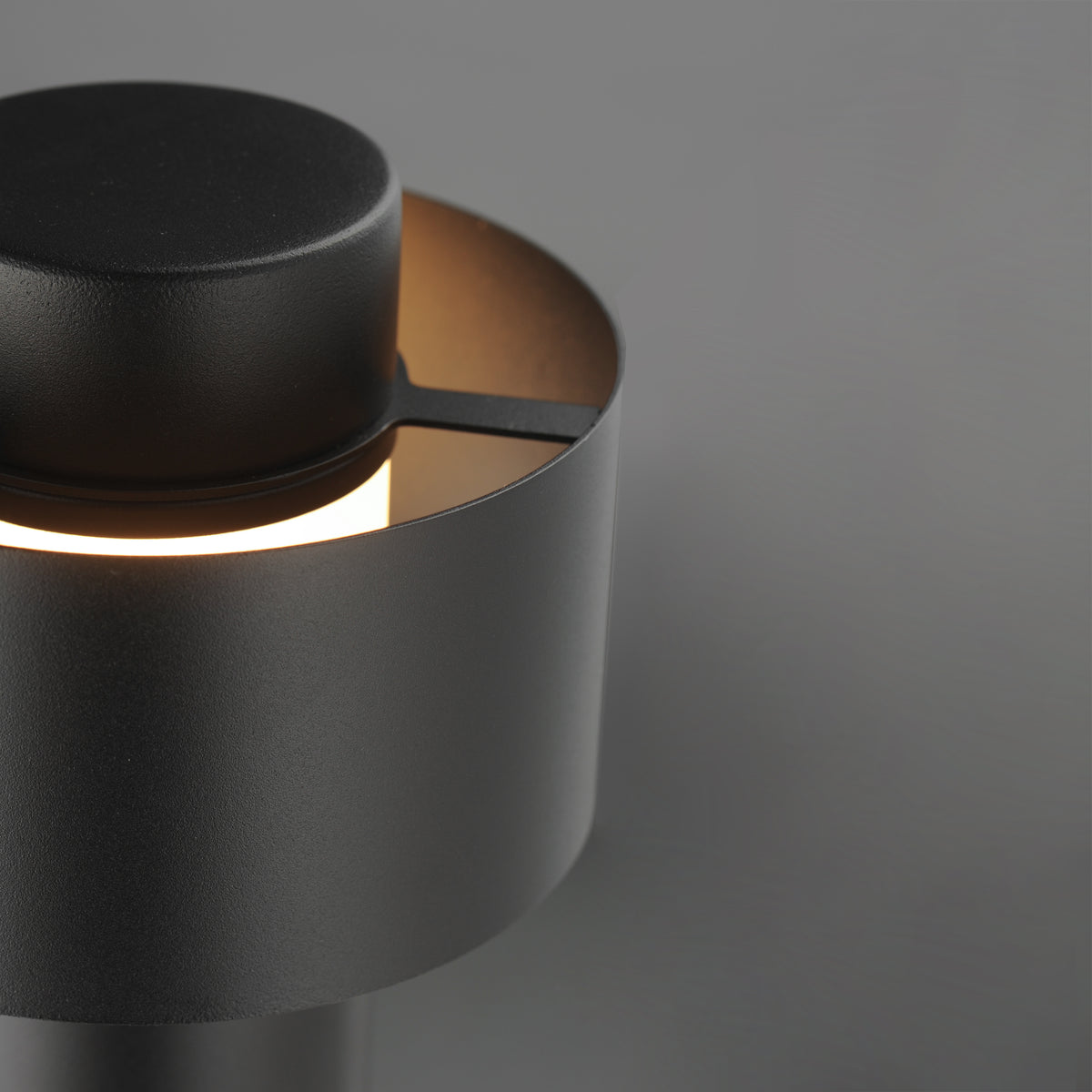Reveal 12-24V LED Garden Light