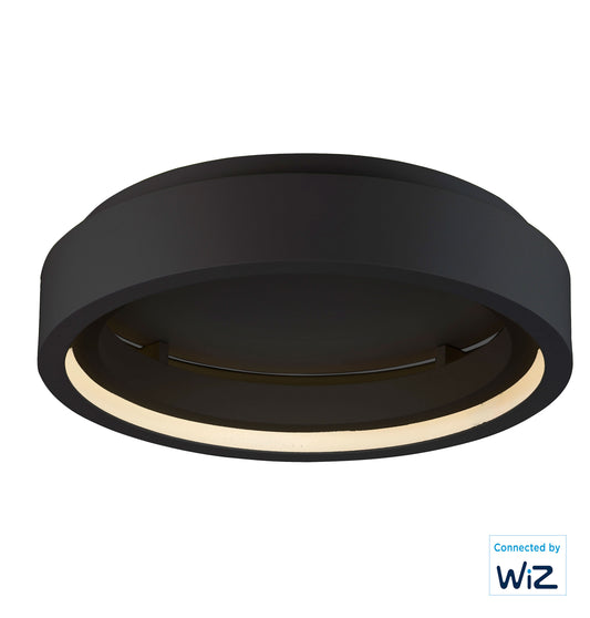iCorona 24" LED Flush Mount WiZ Color