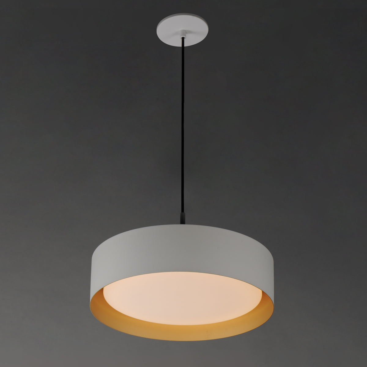 Echo 16" LED Pendant
