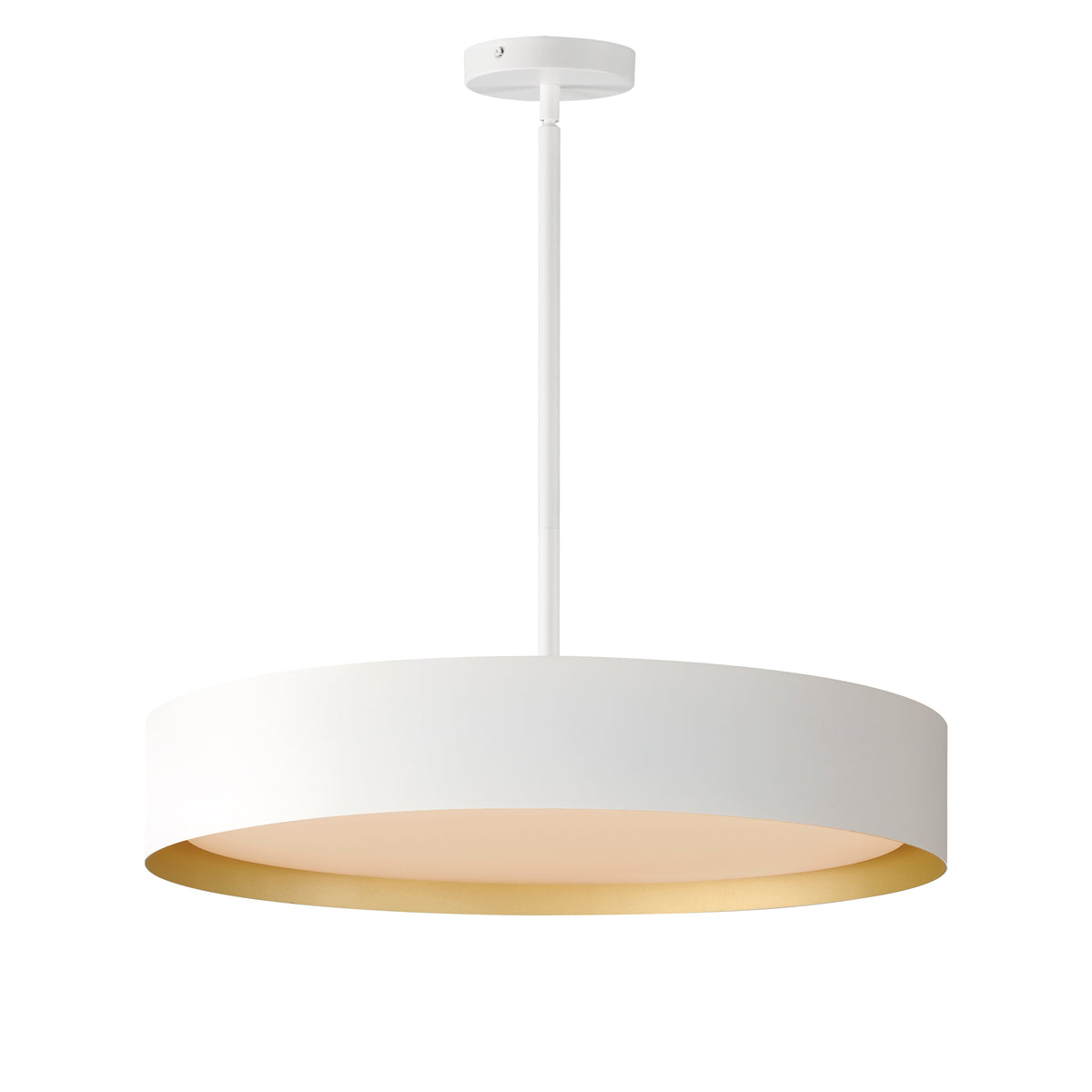 Echo 24" LED Pendant
