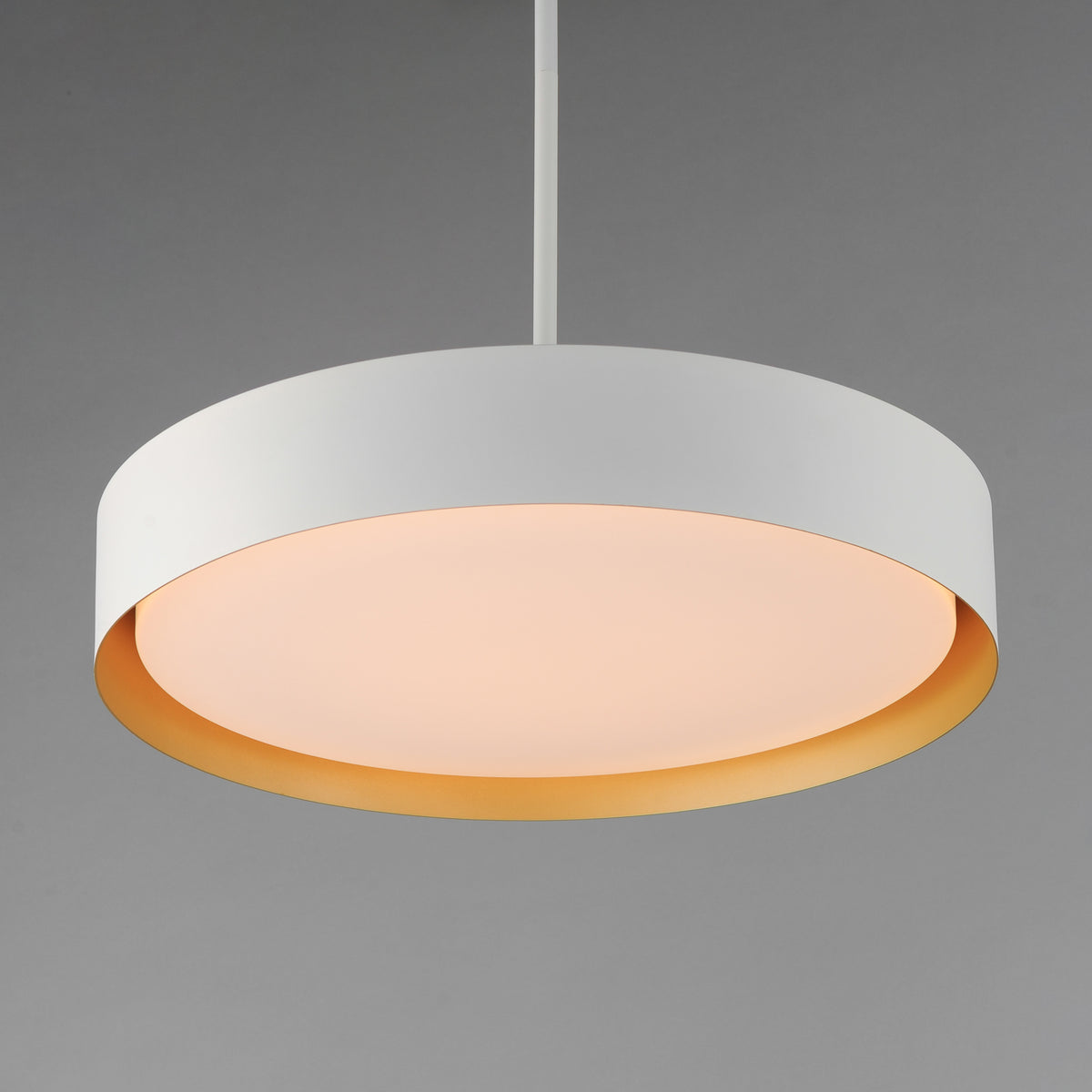 Echo 24" LED Pendant