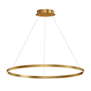 Groove 40" Pendant - 5CCT Select