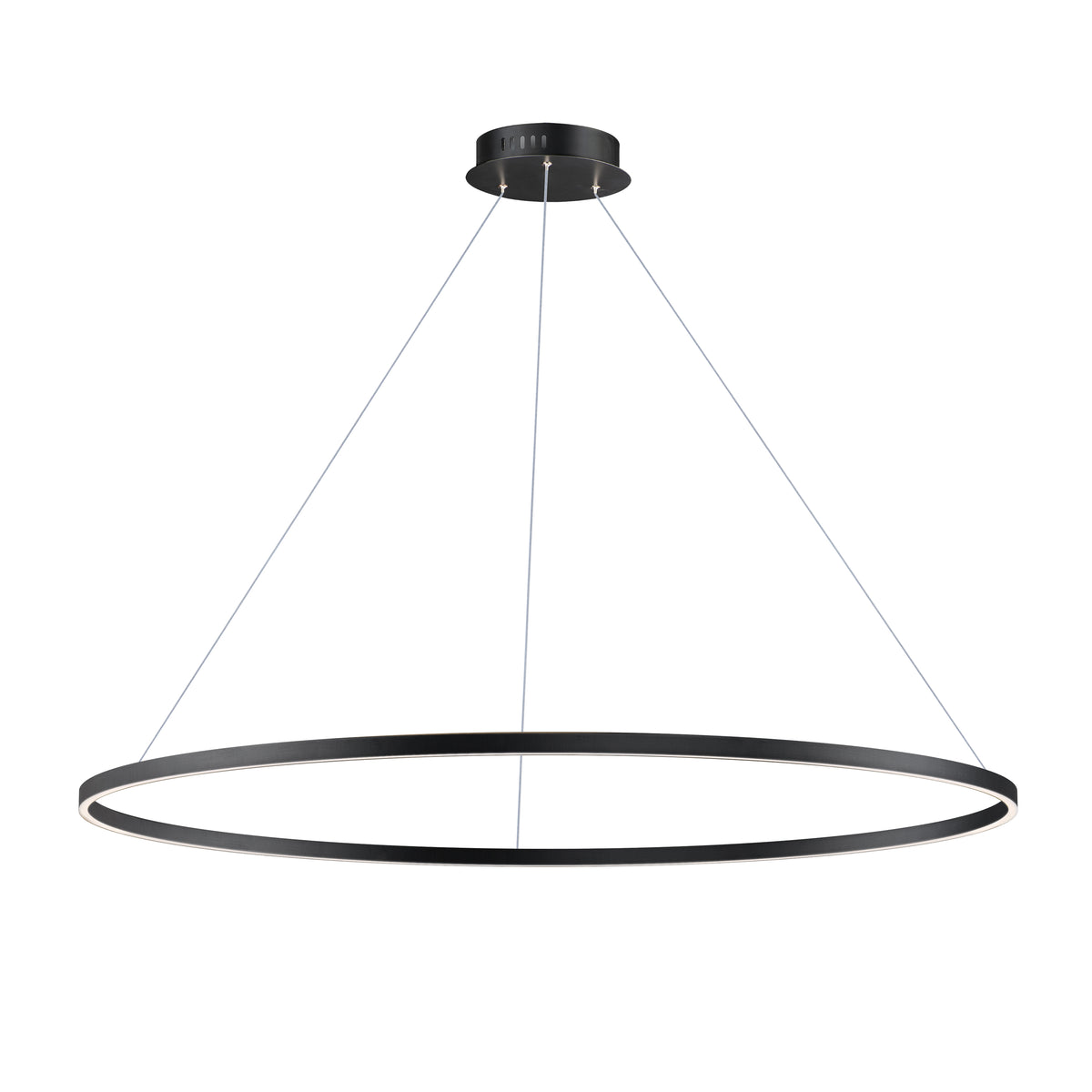 Groove 60" Pendant - 5CCT Select