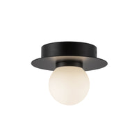 Elixir Flush Mount