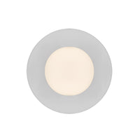 Elixir Flush Mount