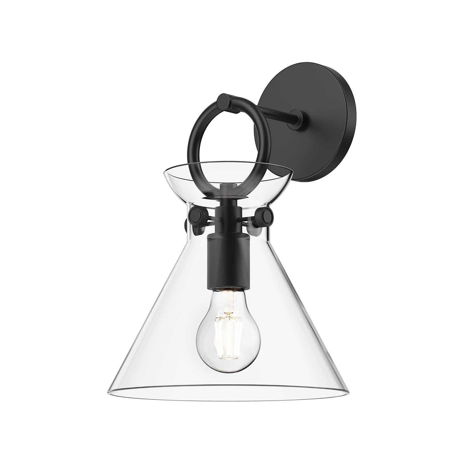Emerson 9-in Matte Black/Smoked 1 Light Wall/Vanity