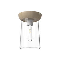 Emil Flush Mount