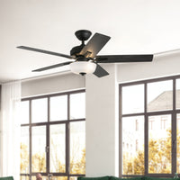 Erikson Ceiling Fan