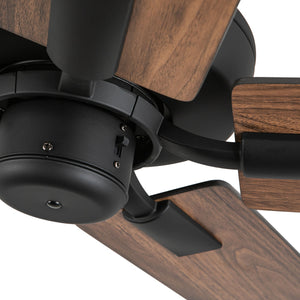Erikson Ceiling Fan