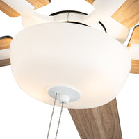 Erikson Ceiling Fan