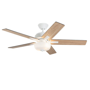 Erikson Ceiling Fan