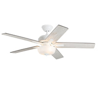 Erikson Ceiling Fan