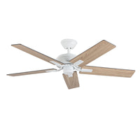 Erikson Ceiling Fan