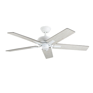 Erikson Ceiling Fan