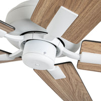 Erikson Ceiling Fan