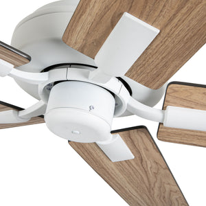 Erikson Ceiling Fan