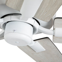 Erikson Ceiling Fan