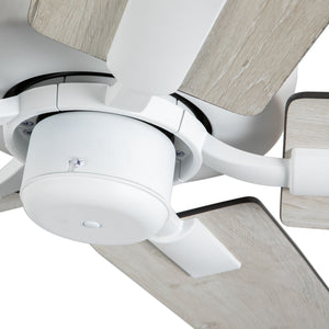 Erikson Ceiling Fan